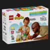Конструктор LEGO DUPLO Disney День рождения Винни-Пуха (10457)