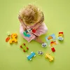 Конструктор LEGO DUPLO My First Поезд животных (10412)