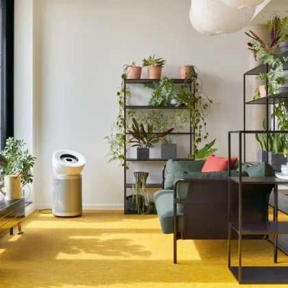 Очиститель воздуха Dyson Purifier Big + Quiet Formaldehyde BP02 (Silver) в Чернигове