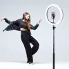 Кільцева LED лампа з тримачем RTAKO AR-GTB05-13 13