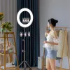 Кольцевая LED лампа RTAKO AR-GTB01-18S 18"