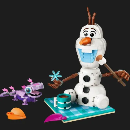 Конструктор LEGO Disney Веселощі на пікніку Олафа та Бруні (43287)