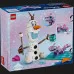 Конструктор LEGO Disney Веселощі на пікніку Олафа та Бруні (43287)