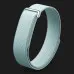Фитнес-браслет Google Fitbit Air (Fog)