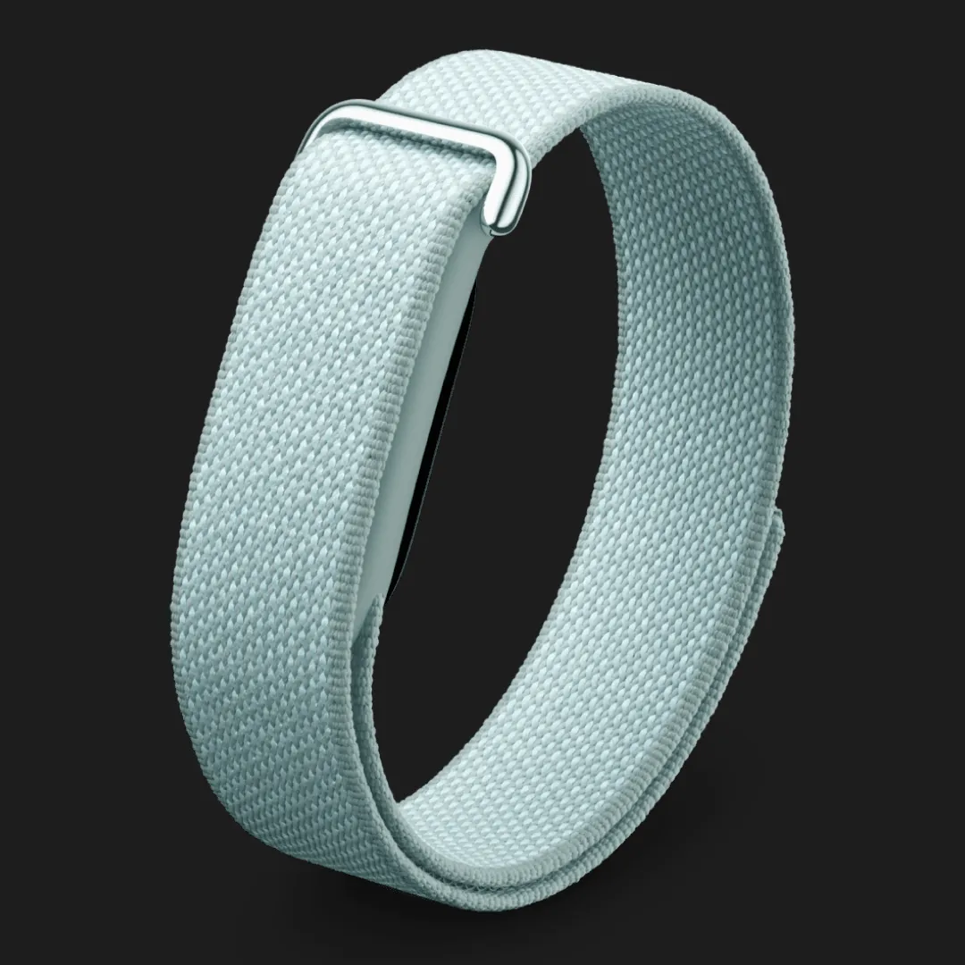 Фітнес-браслет Google Fitbit Air (Fog)
