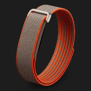 Фитнес-браслет Google Fitbit Air (Rye) Кременчуке