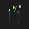Конструктор LEGO Botanicals Букет тюльпанів (11501)