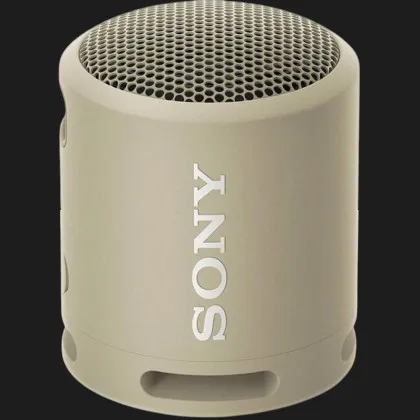 Портативна акустика Sony SRS-XB13 (Taupe) (SRSXB13C) в Камʼянському