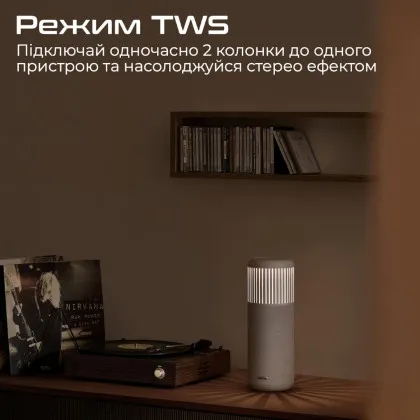 Акустическая система HiFuture Wedge (Brown) в Каменском