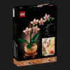 Конструктор LEGO Botanicals Мини-орхидея (10343)