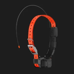 Ошейник с GPS-трекером Garmin Alpha TT 25 (010-02447-21) в Бродах