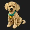 ​Конструктор LEGO Icons Цуценя золотистого ретривера (11384)