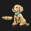 ​Конструктор LEGO Icons Цуценя золотистого ретривера (11384)
