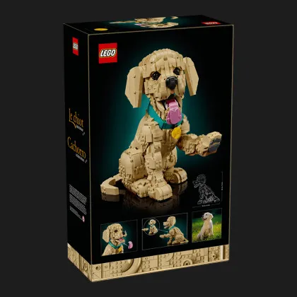 ​Конструктор LEGO Icons Цуценя золотистого ретривера (11384)
