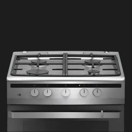 Плита газова Hansa FCGI63022 (Stainless Steel)