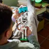 Конструктор LEGO Minecraft Скелет (21594)