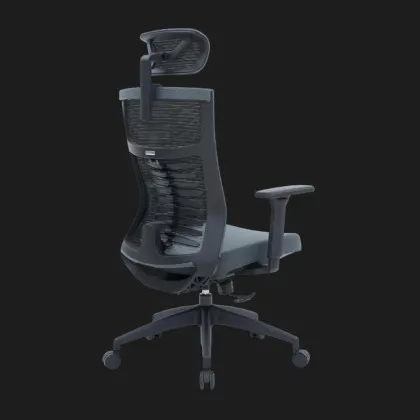 Крісло офісне Officepro Balance OC550-B-DG-DG (Black/Dark Gray) (UA)