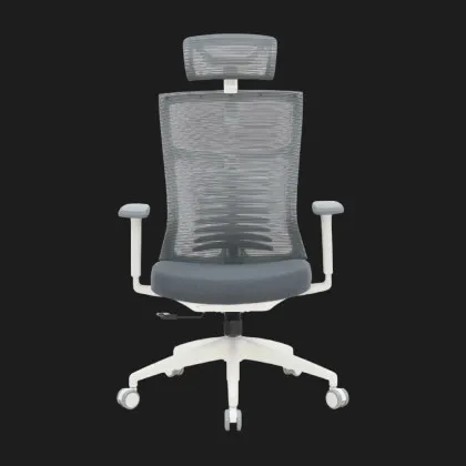 Крісло офісне Officepro Balance OC550-W-DG-DG (White/Dark Gray) (UA)