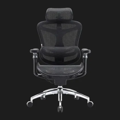 Крісло офісне Sihoo DORO C300 Pro Mesh (Black) (DORO-C300-PRO-M101) (UA) у Запоріжжі