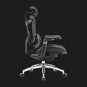 Крісло офісне Sihoo DORO C300 Pro Mesh (Black) (DORO-C300-PRO-M101) (UA) в Бродах