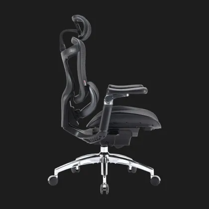 Крісло офісне Sihoo DORO C300 Pro Mesh (Black) (DORO-C300-PRO-M101) (UA) у Запоріжжі