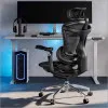 Крісло офісне Sihoo DORO C300 Pro Mesh (Black) (DORO-C300-PRO-M101) (UA)