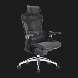 Крісло офісне Sihoo DORO C300 Pro Mesh (Black) (DORO-C300-PRO-M101) (UA) в Бродах
