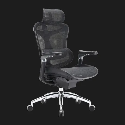 Крісло офісне Sihoo DORO C300 Pro Mesh (Black) (DORO-C300-PRO-M101) (UA) у Запоріжжі
