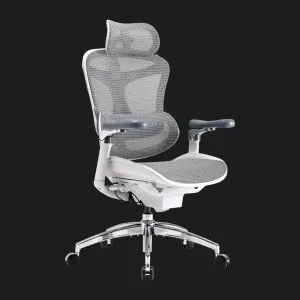 Крісло офісне Sihoo DORO C300 Pro Mesh (White) (DORO-C300-PRO-M102) (UA) в Бродах