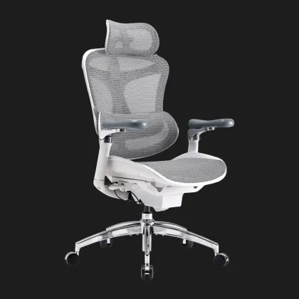 Крісло офісне Sihoo DORO C300 Pro Mesh (White) (DORO-C300-PRO-M102) (UA) у Запоріжжі