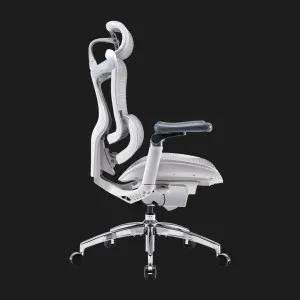 Крісло офісне Sihoo DORO C300 Pro Mesh (White) (DORO-C300-PRO-M102) (UA) в Бродах
