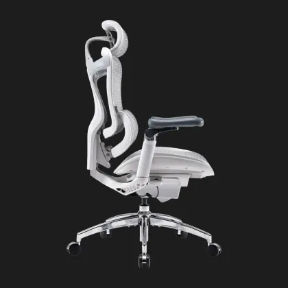 Крісло офісне Sihoo DORO C300 Pro Mesh (White) (DORO-C300-PRO-M102) (UA) у Запоріжжі