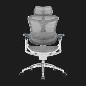 Крісло офісне Sihoo DORO C300 Pro Mesh (White) (DORO-C300-PRO-M102) (UA) в Бродах