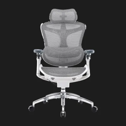 Крісло офісне Sihoo DORO C300 Pro Mesh (White) (DORO-C300-PRO-M102) (UA) у Запоріжжі