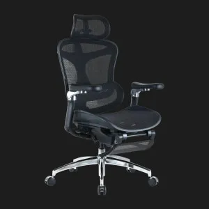 Крісло офісне Sihoo DORO C300 Pro Mesh (Black) with Footrest (DORO-C300-PRO-M101-JT) (UA) в Бродах