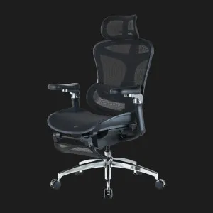 Крісло офісне Sihoo DORO C300 Pro Mesh (Black) with Footrest (DORO-C300-PRO-M101-JT) (UA) в Бродах
