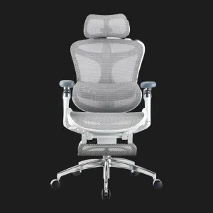 Крісло офісне Sihoo DORO C300 Pro Mesh (White) with Footrest (DORO-C300-PRO-M102-JT) (UA) в Бродах