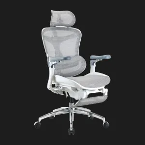 Крісло офісне Sihoo DORO C300 Pro Mesh (White) with Footrest (DORO-C300-PRO-M102-JT) (UA) в Бродах