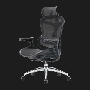 Крісло офісне Sihoo DORO C300L Mesh (Black) (DORO-C300L-A3-101) (UA) в Бродах