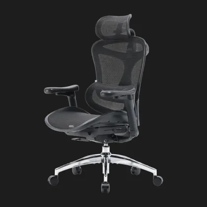 Крісло офісне Sihoo DORO C300L Mesh (Black) (DORO-C300L-A3-101) (UA) у Запоріжжі