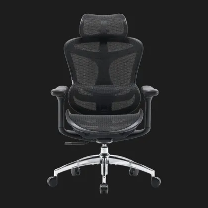 Крісло офісне Sihoo DORO C300L Mesh (Black) (DORO-C300L-A3-101) (UA) у Запоріжжі