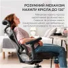 Крісло офісне Sihoo DORO C300L Mesh (Black) (DORO-C300L-A3-101) (UA)