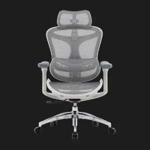 Крісло офісне Sihoo DORO C300L Mesh (White) (DORO-C300L-A3-102) (UA) в Бродах