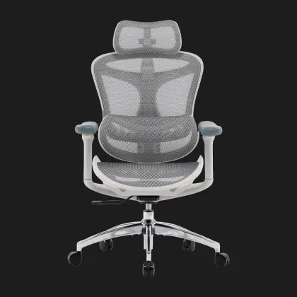 Крісло офісне Sihoo DORO C300L Mesh (White) (DORO-C300L-A3-102) (UA) у Запоріжжі