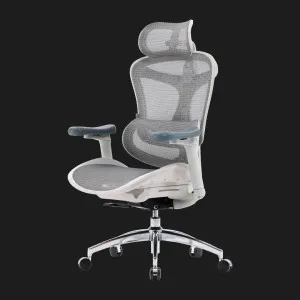 Крісло офісне Sihoo DORO C300L Mesh (White) (DORO-C300L-A3-102) (UA) в Бродах