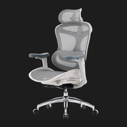 Крісло офісне Sihoo DORO C300L Mesh (White) (DORO-C300L-A3-102) (UA) у Запоріжжі