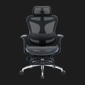 Крісло офісне Sihoo DORO C300L Mesh Black with Footrest (DORO-C300L-A3-101-JT) (UA) в Бродах