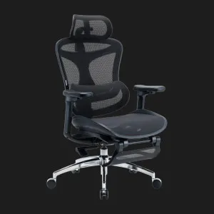 Крісло офісне Sihoo DORO C300L Mesh Black with Footrest (DORO-C300L-A3-101-JT) (UA) в Бродах