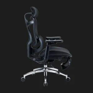 Крісло офісне Sihoo DORO C300L Mesh Black with Footrest (DORO-C300L-A3-101-JT) (UA) в Бродах