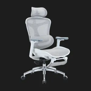 Крісло офісне Sihoo DORO C300L Mesh (White) with Footrest (DORO-C300L-A3-102-JT) (UA) в Бродах